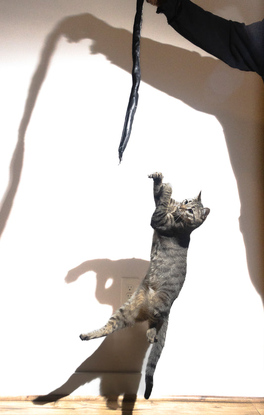 Snake Cat Toy - Leather