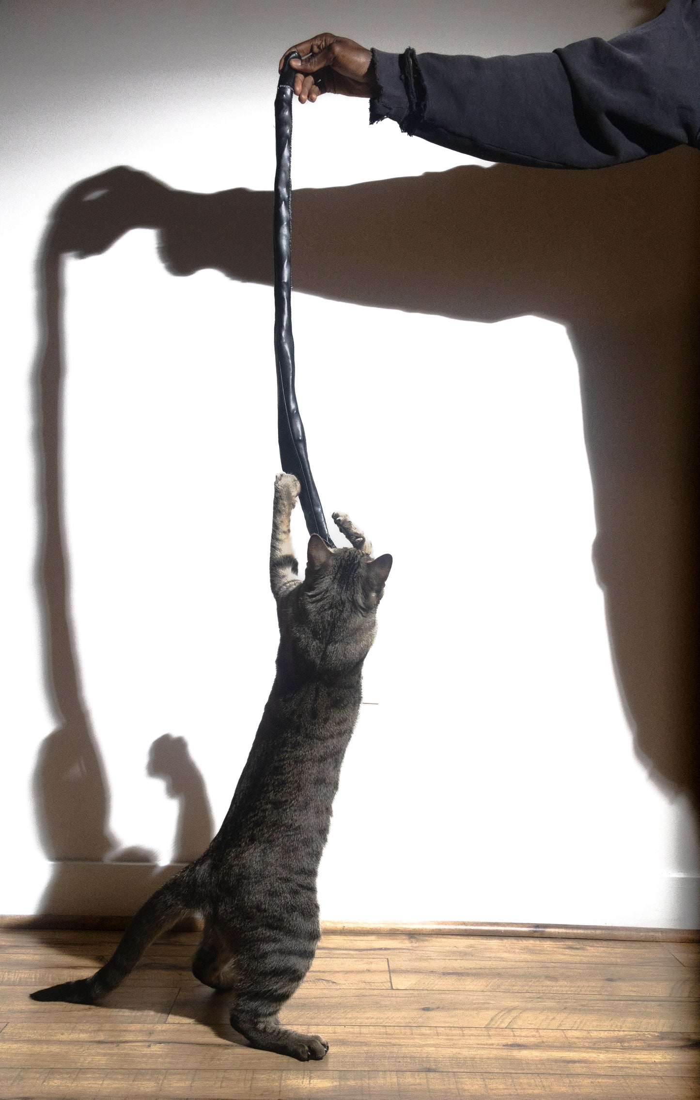 Snake Cat Toy - Leather